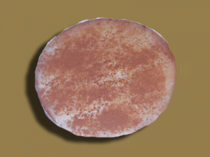 Milk Tart
